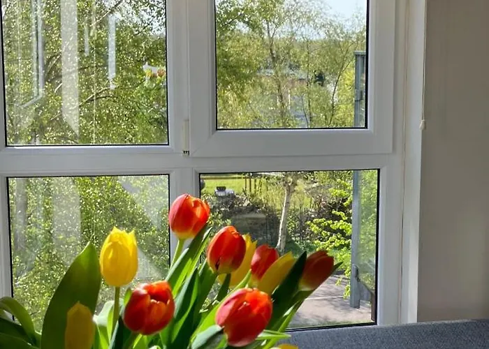 Polanki Apartament *